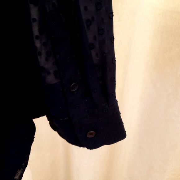 Talbots Blue Swiss Dot Blouse Sheer Long Sleeve Button Front | Size XL - Picture 5 of 11